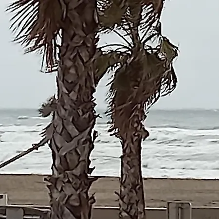 La Vermeille De Barcares Et Son - La En Groupe A La Plage- 19 Pers * Le Barcarès