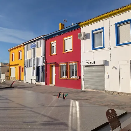 La Vermeille De Barcares Et Son - La En Groupe A La Plage- 19 Pers Tatil Evi